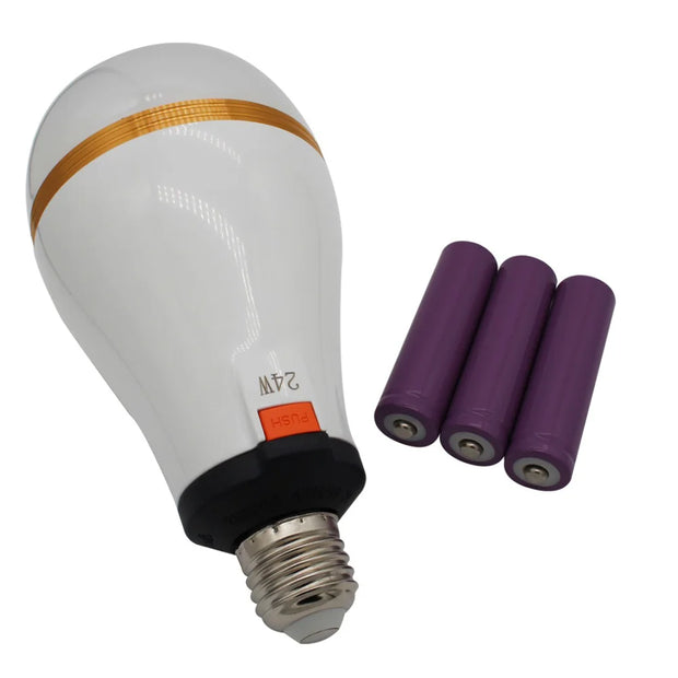 Bulb with Removable